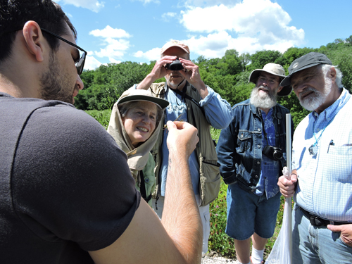 Group looks at a dragonfly they just caught