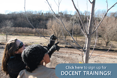 Click here to sign up for Docent Trainings!