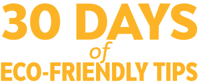 30 Day of Eco-Friendly Tips