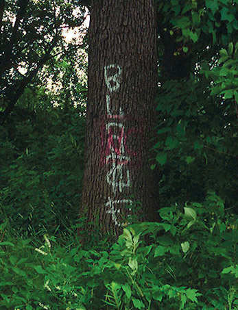 Graffiti written on a tree in Riverside Park