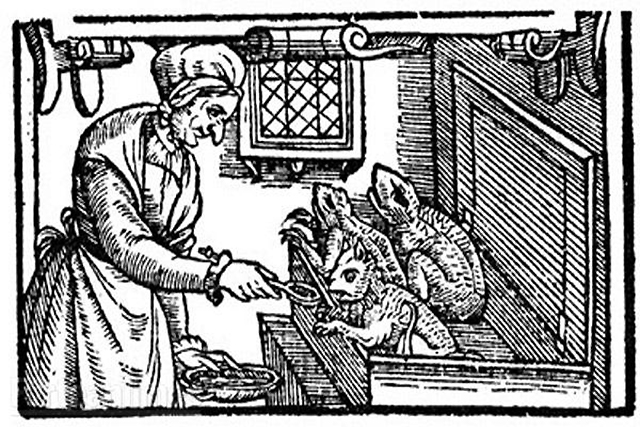 toad blog 1579 woodcut