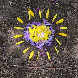 Sun made out of yellow and purple flowers.