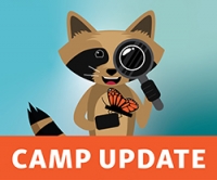 Summer Camp Update / Actualización del campamento de verano