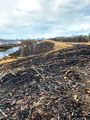 Illegal Fire in Three Bridges Park this Week