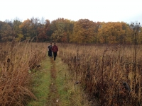 A brisk November walk through Whitnall Park.