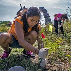 Planting Relationships