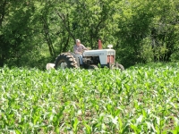 The Farmers Behind the Food: Steve and Andrea Levsen, Stoney Meadow Farm