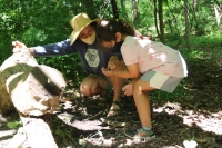 Summer Campers Reconnecting to Nature