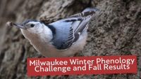 Milwaukee Winter Phenology Challenge and Fall Results