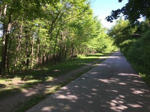 Improvements on the Oak Leaf Trail