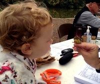 Two year-old Lilli Morby gets an up-close look at a bird