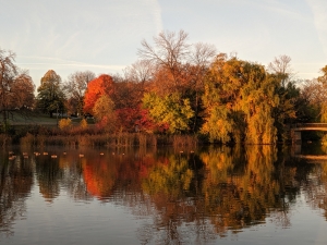 The Impact of UEC Restoration Efforts at Washington Park