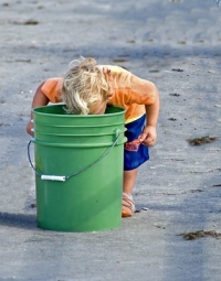 When a Child Wants to Share a Connection to Nature