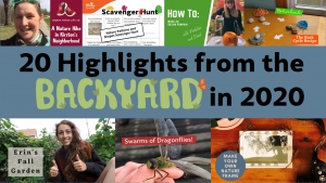 20 Highlights from the Backyard in 2020