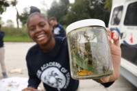 Insect Collecting on the Prairie