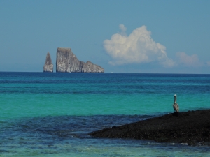 Galápagos: A Journey of a Lifetime