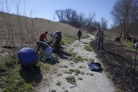 Earth Day of Service Is Right Around the Corner...