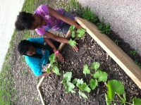 Learning Gardens, more than a box of flowers...