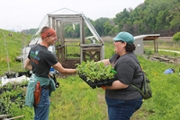 Community Planting Day Update