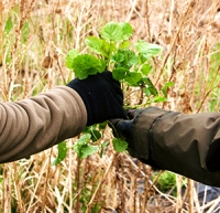 Looking Back On Our Earth Day of Service